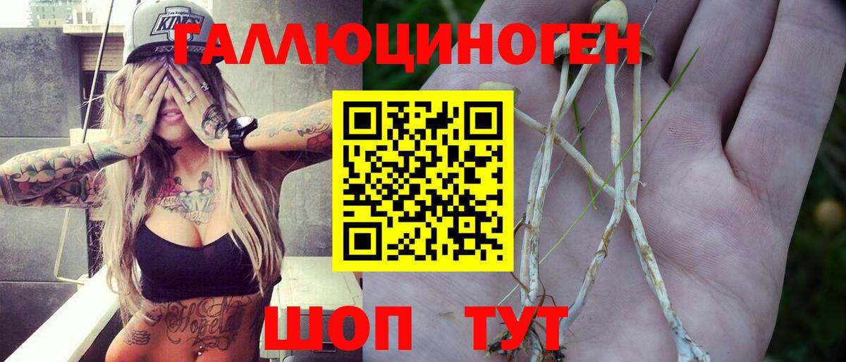 Псилоцибиновые грибы мицелий  Псилоцибиновые грибы Magic Shrooms  Вход с VPN  Истра 